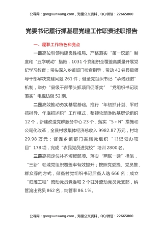 党委书记履行抓基层党建工作职责述职报告