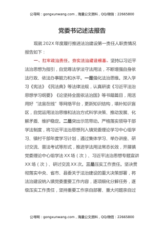 党委书记述法报告