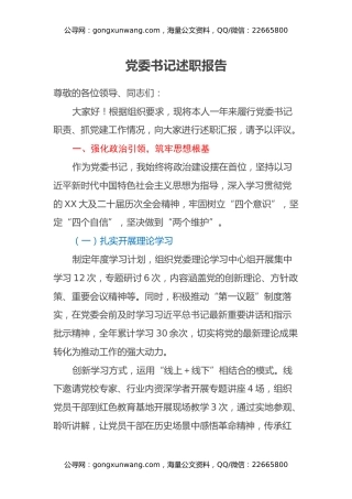 党委书记述职报告