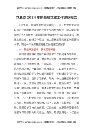 党总支2024年抓基层党建工作述职报告