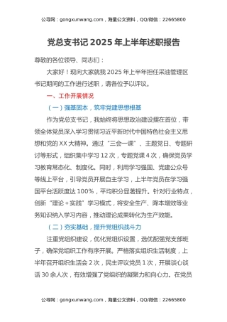 党总支书记 2025 年上半年述职报告