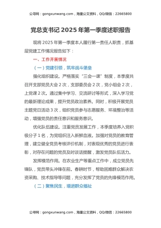党总支书记2025年第一季度述职报告