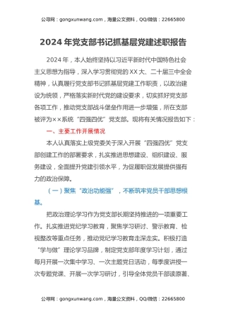 年党支部书记抓基层党建述职报告