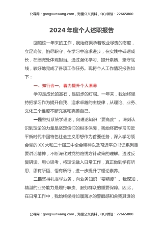 年度个人述职报告 (2)