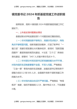 镇党委书记2024年抓基层党建工作述职报告（2）