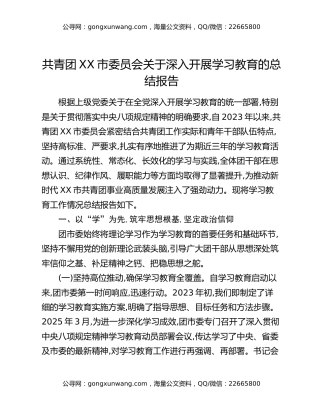 共青团XX市委员会关于深入开展八项规定精神学习教育的总结报告