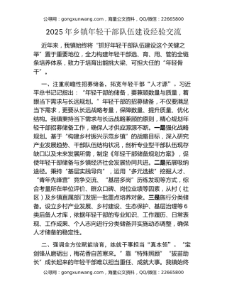 2025年乡镇年轻干部队伍建设经验交流