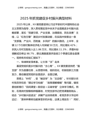 2025年抓党建促乡村振兴典型材料