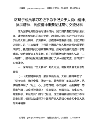 X区班子成员学习习近平总书记关于大别山精神、抗洪精神、抗疫精神重要论述研讨交流材料