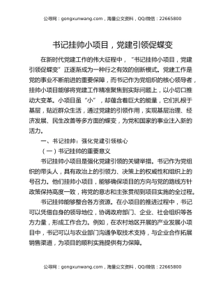 书记挂帅小项目，党建引领促蝶变