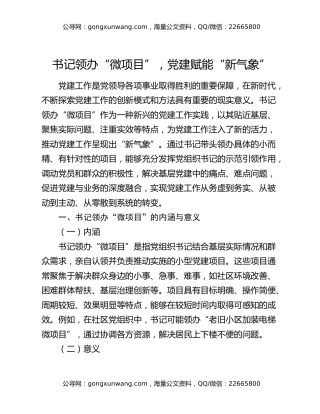 书记领办“微项目”，党建赋能“新气象”