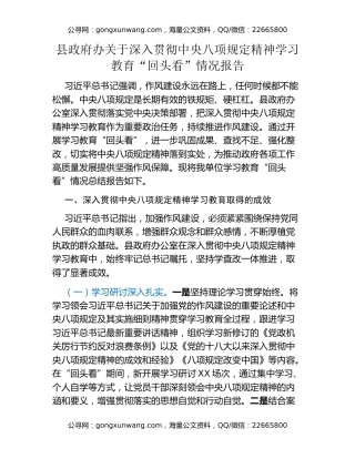 县政府办关于深入贯彻中央八项规定精神学习教育“回头看”情况报告