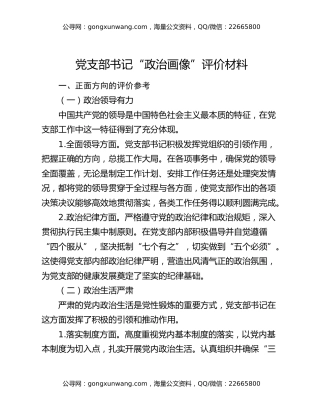 党支部书记“政治画像”评价材料