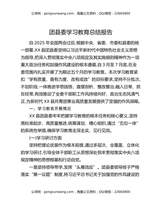 团县委八项规定精神学习教育总结报告