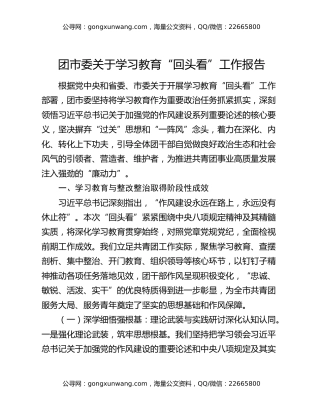 团市委关于八项规定精神学习教育“回头看”工作报告