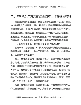 关于XX镇机关党支部强基固本工作的经验材料
