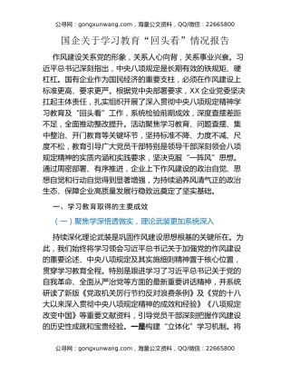 国企关于八项规定精神学习教育“回头看”情况报告