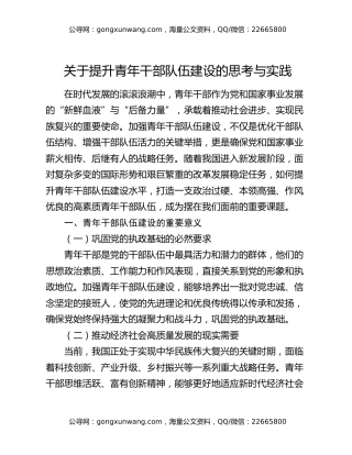 关于提升青年干部队伍建设的思考与实践