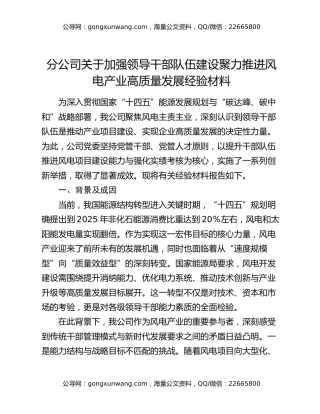 分公司关于加强领导干部队伍建设聚力推进风电产业高质量发展经验材料