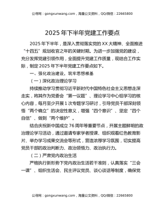 2025 年下半年党建工作要点