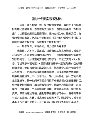 副乡长现实表现材料