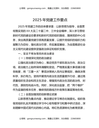 2025年党建工作要点