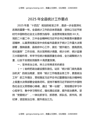 2025年全县统计工作要点