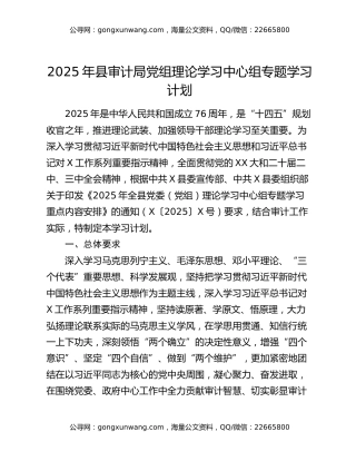 2025年县审计局党组理论学习中心组专题学习计划