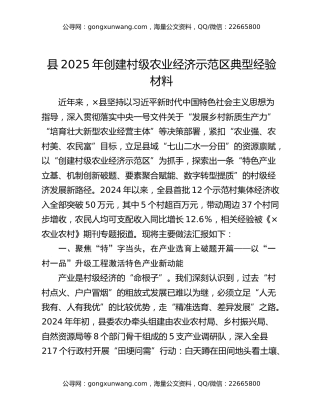 县2025年创建村级农业经济示范区典型经验材料