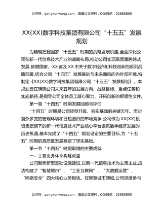 XX(XX)数字科技集团有限公司“十五五”发展规划