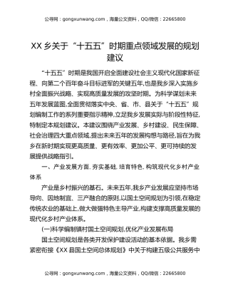XX乡关于“十五五”时期重点领域发展的规划建议