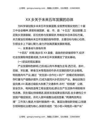 XX乡关于未来五年发展的总体