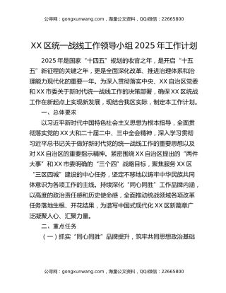 XX区统一战线工作领导小组2025年工作计划