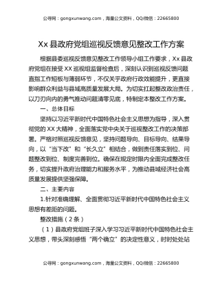 Xx县政府党组巡视反馈意见整改工作方案