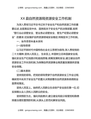 XX县自然资源局资源安全工作机制
