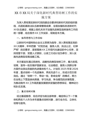 XX市XX局关于深化新时代典型培树工作的实施方案