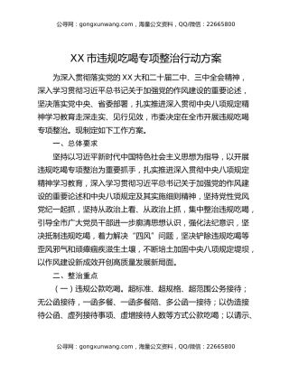 XX市违规吃喝专项整治行动方案