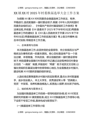XX镇XX村2025年村委换届选举大会工作方案