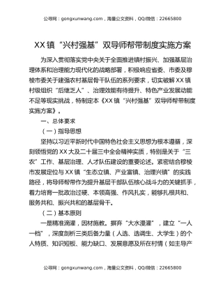 XX镇“兴村强基”双导师帮带制度实施方案