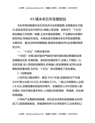 XX镇未来五年发展规划