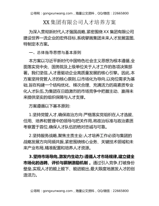 XX集团有限公司人才培养方案