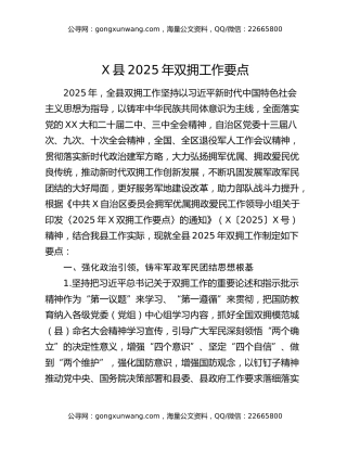 x县2025年双拥工作要点