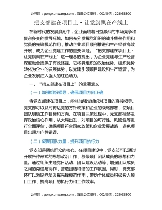 把支部建在项目上・让党旗飘在产线上