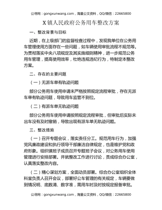X镇人民政府公务用车整改方案