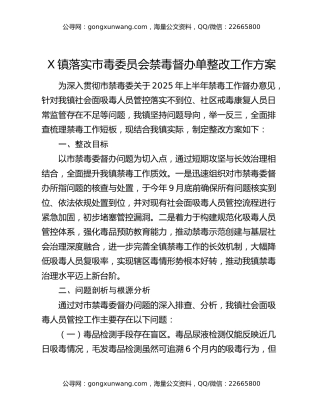 X镇落实市毒委员会禁毒督办单整改工作方案