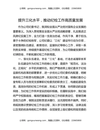 提升三化水平，推动纪检工作高质量发展