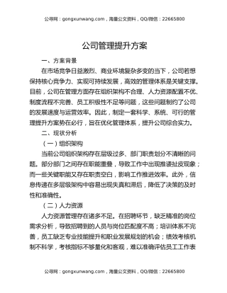 公司管理提升方案