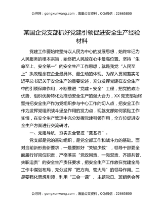 某国企党支部抓好党建引领促进安全生产经验材料
