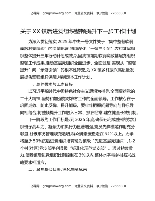 关于XX镇后进党组织整顿提升下一步工作计划