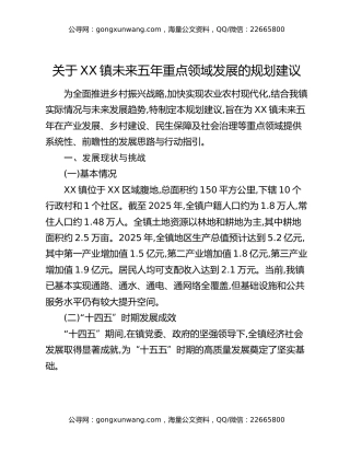 关于XX镇未来五年重点领域发展的规划建议